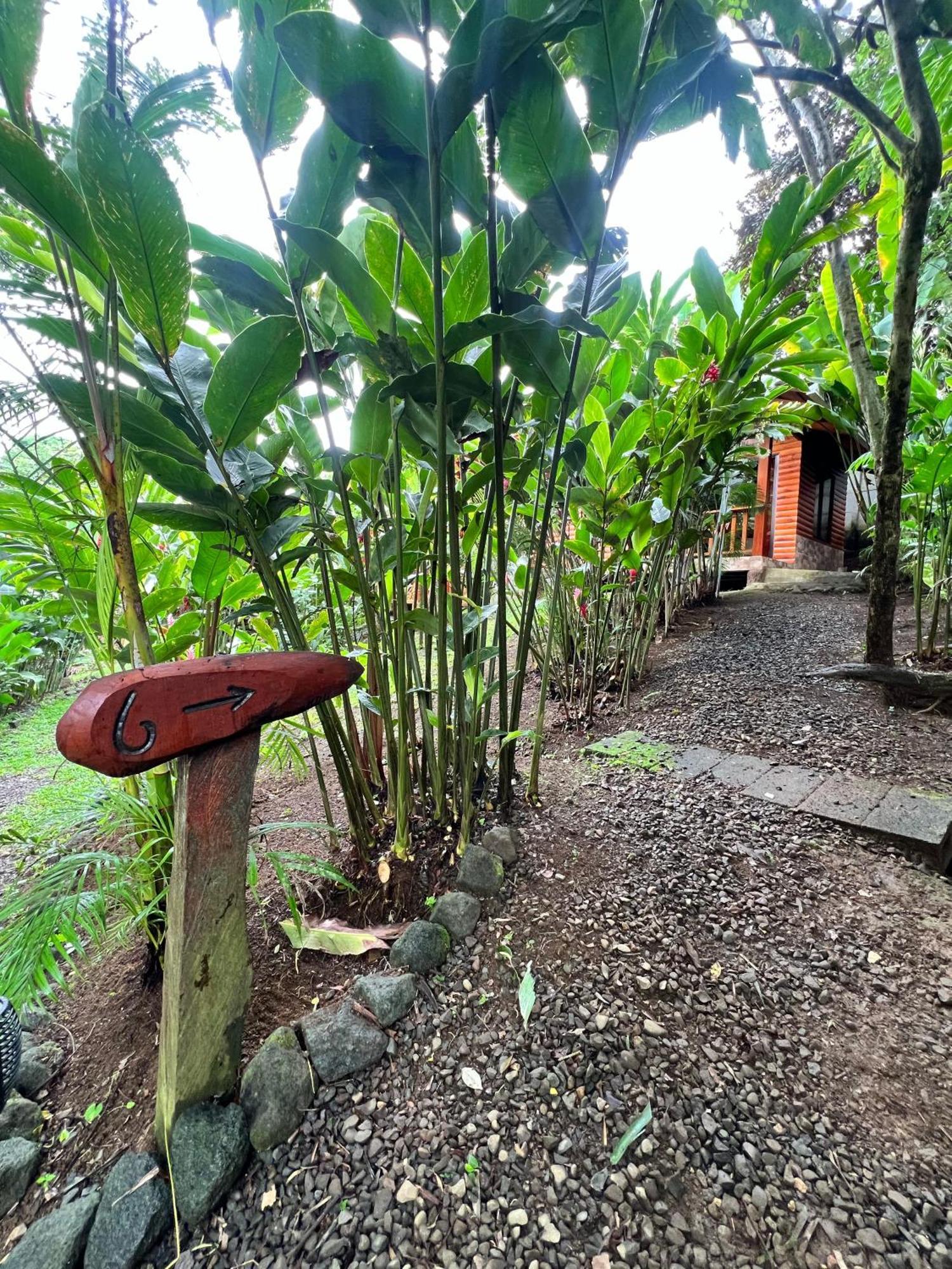 Arenal Rustic Lodge La Fortuna Luaran gambar