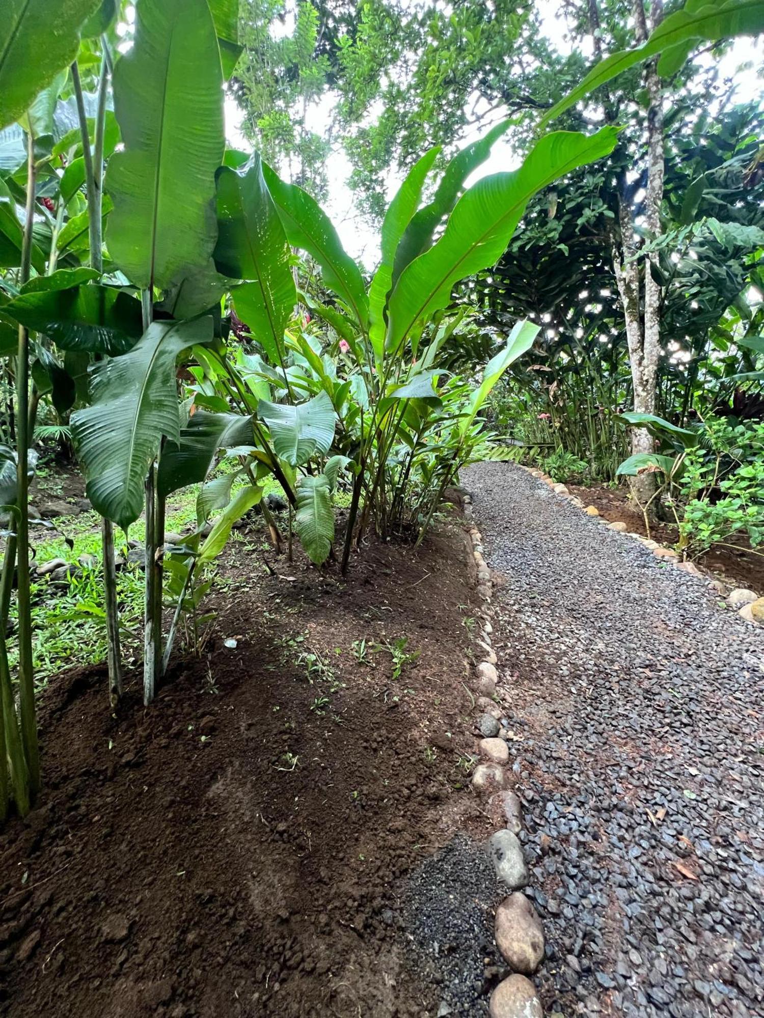 Arenal Rustic Lodge La Fortuna Luaran gambar